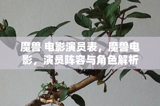 魔兽 电影演员表，魔兽电影，演员阵容与角色解析