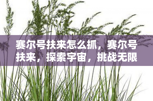 赛尔号扶来怎么抓,赛尔号扶来,探索宇宙,挑战无限 赛尔号扶来怎么抓,赛尔号扶来,探索宇宙,挑战无限