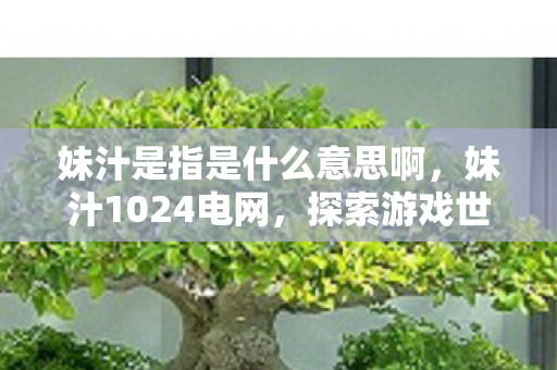 妹汁是指是什么意思啊,妹汁1024电网,探索游戏世界的无限可能 妹汁是指是什么意思啊,妹汁1024电网,探索游戏世界的无限可能
