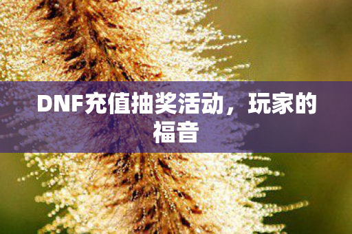DNF充值抽奖活动,玩家的福音 DNF充值抽奖活动,玩家的福音