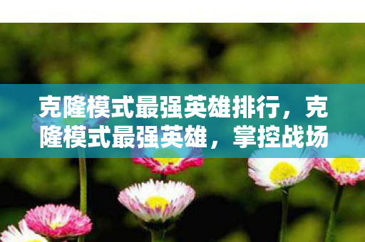 克隆模式最强英雄排行，克隆模式最强英雄，掌控战场的终极选择