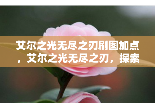 艾尔之光无尽之刃刷图加点,艾尔之光无尽之刃,探索游戏世界的奥秘与魅力 艾尔之光无尽之刃刷图加点,艾尔之光无尽之刃,探索游戏世界的奥秘与魅力