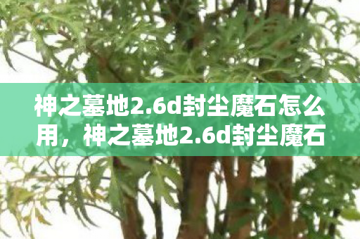 神之墓地2.6d封尘魔石怎么用,神之墓地2.6d封尘魔石,探索未知世界的神秘之旅 神之墓地2.6d封尘魔石怎么用,神之墓地2.6d封尘魔石,探索未知世界的神秘之旅