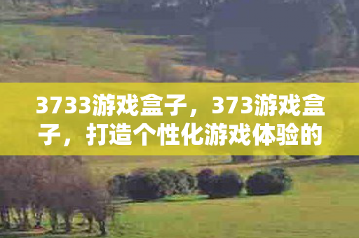 3733游戏盒子,373游戏盒子,打造个性化游戏体验的优选平台 3733游戏盒子,373游戏盒子,打造个性化游戏体验的优选平台