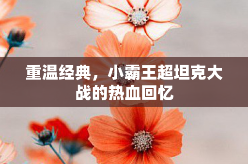 重温经典,小霸王超坦克大战的热血回忆 重温经典,小霸王超坦克大战的热血回忆