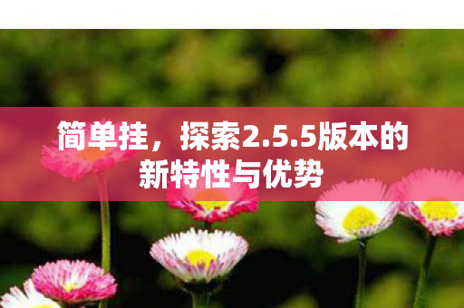 简单挂,探索2.5.5版本的新特性与优势 简单挂,探索2.5.5版本的新特性与优势