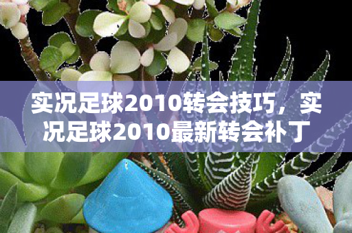 实况足球2010转会技巧，实况足球2010最新转会补丁，重塑绿茵赛场，打造梦幻阵容