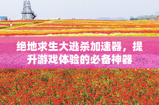 绝地求生大逃杀加速器,提升游戏体验的必备神器 绝地求生大逃杀加速器,提升游戏体验的必备神器