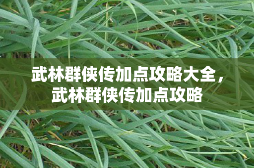 武林群侠传加点攻略大全,武林群侠传加点攻略 武林群侠传加点攻略大全,武林群侠传加点攻略