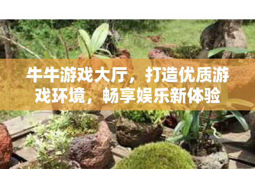 牛牛游戏大厅,打造优质游戏环境,畅享娱乐新体验 牛牛游戏大厅,打造优质游戏环境,畅享娱乐新体验