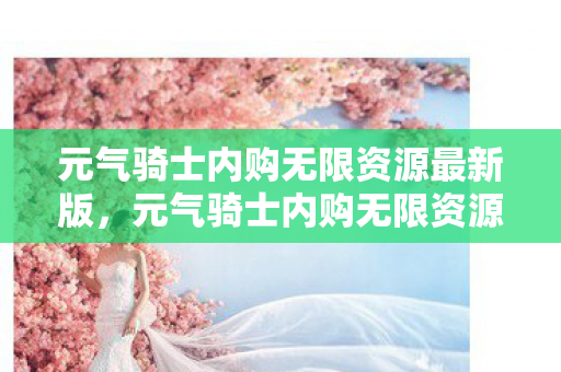 元气骑士内购无限资源最新版,元气骑士内购无限资源,解锁无限可能的秘密 元气骑士内购无限资源最新版,元气骑士内购无限资源,解锁无限可能的秘密
