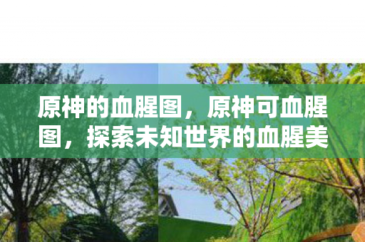 原神的血腥图，原神可血腥图，探索未知世界的血腥美学