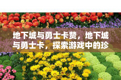 地下城与勇士卡赞,地下城与勇士卡,探索游戏中的珍贵宝藏 地下城与勇士卡赞,地下城与勇士卡,探索游戏中的珍贵宝藏