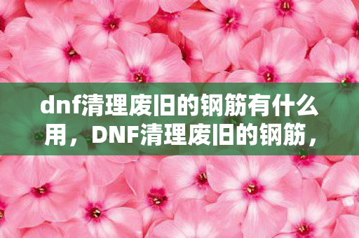 dnf清理废旧的钢筋有什么用,DNF清理废旧的钢筋,环保与资源再利用的探讨 dnf清理废旧的钢筋有什么用,DNF清理废旧的钢筋,环保与资源再利用的探讨