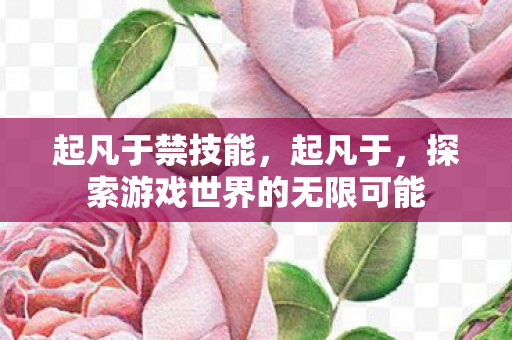 起凡于禁技能，起凡于，探索游戏世界的无限可能