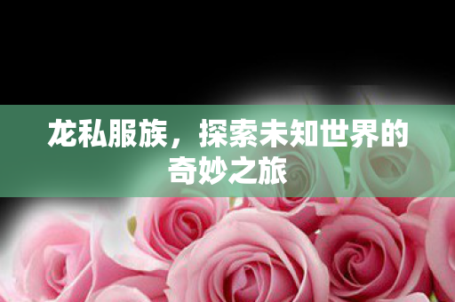 龙私服族,探索未知世界的奇妙之旅 龙私服族,探索未知世界的奇妙之旅