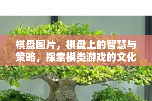 棋盘图片,棋盘上的智慧与策略,探索棋类游戏的文化与魅力 棋盘图片,棋盘上的智慧与策略,探索棋类游戏的文化与魅力