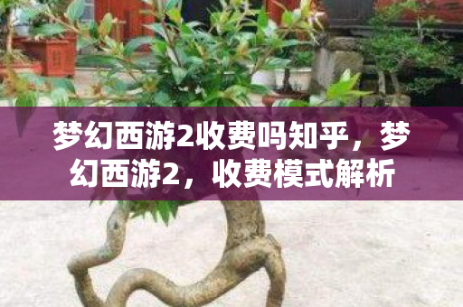 梦幻西游2收费吗知乎,梦幻西游2,收费模式解析 梦幻西游2收费吗知乎,梦幻西游2,收费模式解析