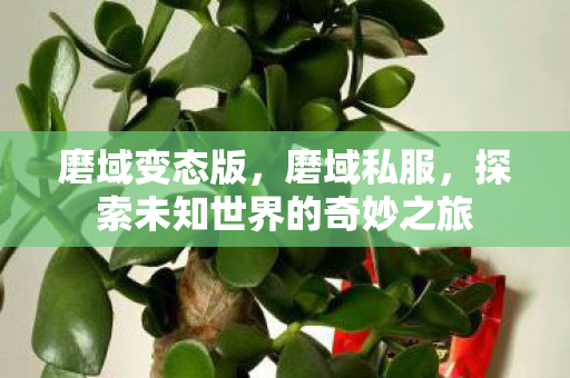 磨域变态版，磨域私服，探索未知世界的奇妙之旅