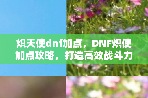 炽天使dnf加点,DNF炽使加点攻略,打造高效战斗力的关键 炽天使dnf加点,DNF炽使加点攻略,打造高效战斗力的关键