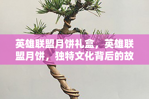 英雄联盟月饼礼盒，英雄联盟月饼，独特文化背后的故事