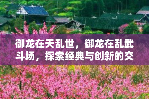 御龙在天乱世,御龙在乱武斗场,探索经典与创新的交汇点 御龙在天乱世,御龙在乱武斗场,探索经典与创新的交汇点