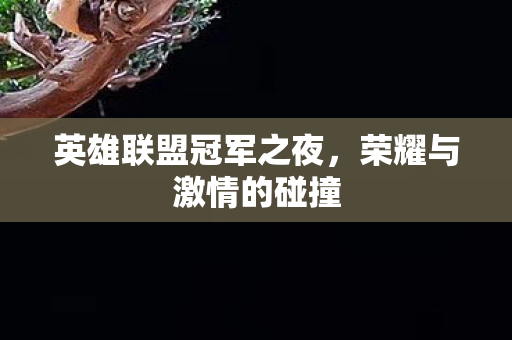 英雄联盟冠军之夜,荣耀与激情的碰撞 英雄联盟冠军之夜,荣耀与激情的碰撞