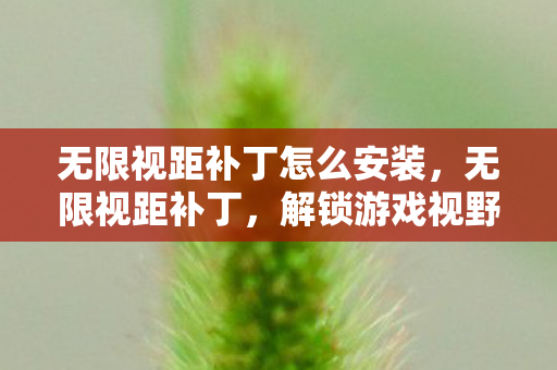 无限视距补丁怎么安装,无限视距补丁,解锁游戏视野的新维度 无限视距补丁怎么安装,无限视距补丁,解锁游戏视野的新维度