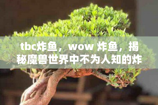 tbc炸鱼,wow 炸鱼,揭秘魔兽世界中不为人知的炸鱼现象 tbc炸鱼,wow 炸鱼,揭秘魔兽世界中不为人知的炸鱼现象
