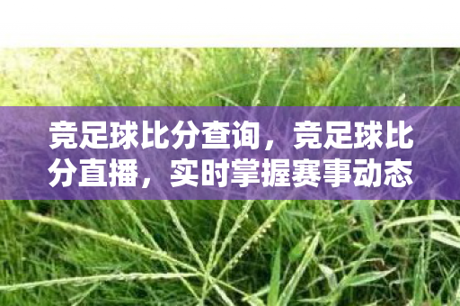 竞足球比分查询,竞足球比分直播,实时掌握赛事动态,畅享足球盛宴 竞足球比分查询,竞足球比分直播,实时掌握赛事动态,畅享足球盛宴