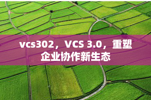 vcs302,VCS 3.0,重塑企业协作新生态 vcs302,VCS 3.0,重塑企业协作新生态