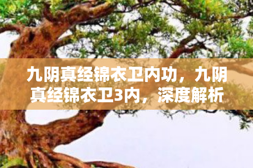 九阴真经锦衣卫内功,九阴真经锦衣卫3内,深度解析与玩法攻略 九阴真经锦衣卫内功,九阴真经锦衣卫3内,深度解析与玩法攻略