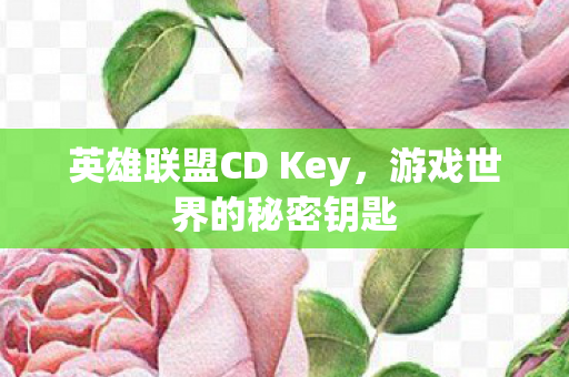 英雄联盟CD Key,游戏世界的秘密钥匙 英雄联盟CD Key,游戏世界的秘密钥匙