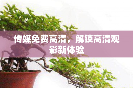 传媒免费高清,解锁高清观影新体验 传媒免费高清,解锁高清观影新体验