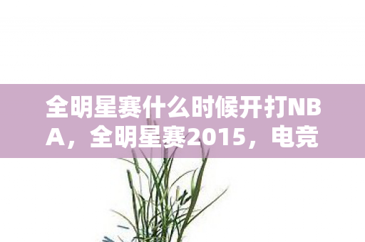 全明星赛什么时候开打NBA,全明星赛2015,电竞盛宴的辉煌与梦想 全明星赛什么时候开打NBA,全明星赛2015,电竞盛宴的辉煌与梦想