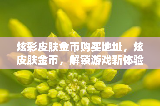 炫彩皮肤金币购买地址,炫皮肤金币,解锁游戏新体验,但需谨慎使用 炫彩皮肤金币购买地址,炫皮肤金币,解锁游戏新体验,但需谨慎使用