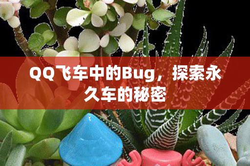 QQ飞车中的Bug,探索永久车的秘密 QQ飞车中的Bug,探索永久车的秘密
