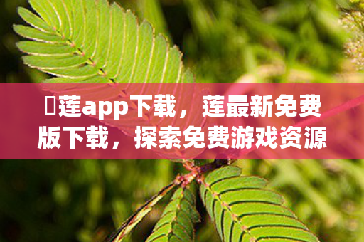 蓅莲app下载，莲最新免费版下载，探索免费游戏资源的无限可能