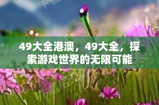 49大全港澳，49大全，探索游戏世界的无限可能