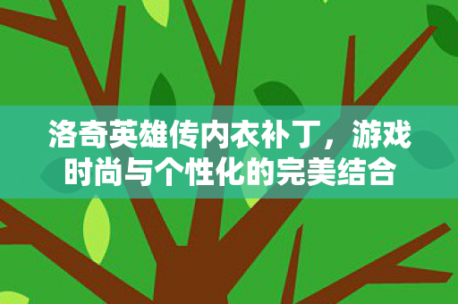 洛奇英雄传内衣补丁,游戏时尚与个性化的完美结合 洛奇英雄传内衣补丁,游戏时尚与个性化的完美结合