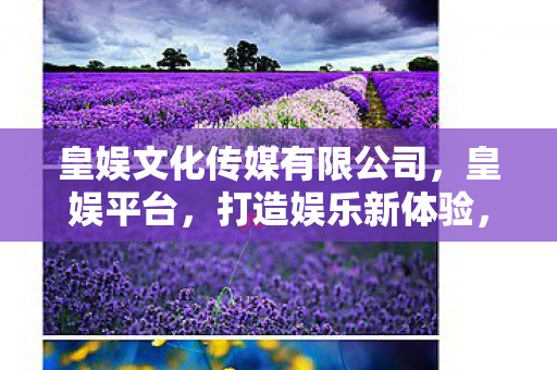 皇娱文化传媒有限公司,皇娱平台,打造娱乐新体验,引领数字娱乐新风尚 皇娱文化传媒有限公司,皇娱平台,打造娱乐新体验,引领数字娱乐新风尚