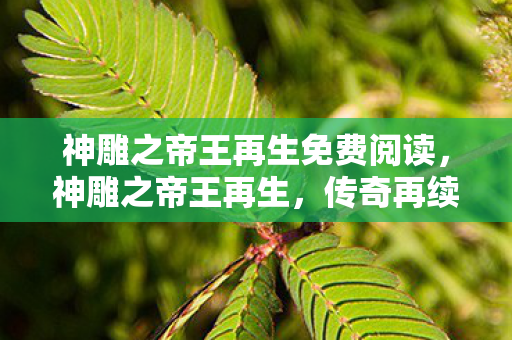神雕之帝王再生免费阅读,神雕之帝王再生,传奇再续,王者归来 神雕之帝王再生免费阅读,神雕之帝王再生,传奇再续,王者归来