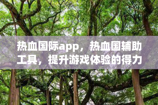 热血国际app,热血国辅助工具,提升游戏体验的得力助手 热血国际app,热血国辅助工具,提升游戏体验的得力助手