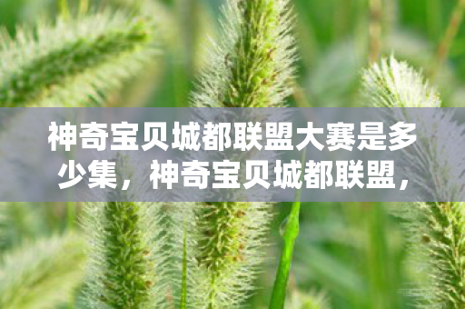神奇宝贝城都联盟大赛是多少集,神奇宝贝城都联盟,探索宝可梦世界的无限可能 神奇宝贝城都联盟大赛是多少集,神奇宝贝城都联盟,探索宝可梦世界的无限可能