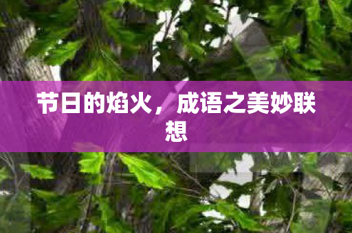节日的焰火,成语之美妙联想 节日的焰火,成语之美妙联想