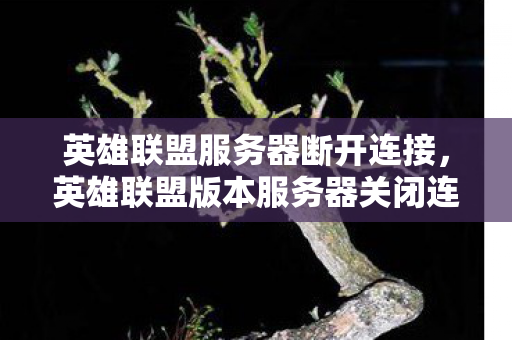 英雄联盟服务器断开连接，英雄联盟版本服务器关闭连接，玩家需关注官方公告，确保游戏体验