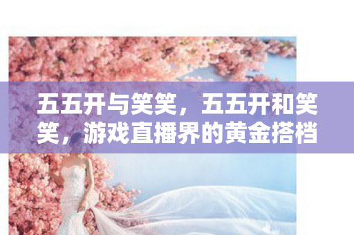 五五开与笑笑,五五开和笑笑,游戏直播界的黄金搭档 五五开与笑笑,五五开和笑笑,游戏直播界的黄金搭档