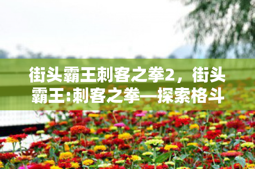 街头霸王刺客之拳2，街头霸王:刺客之拳—探索格斗游戏的深层魅力