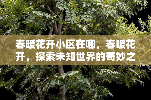 春暖花开小区在哪，春暖花开，探索未知世界的奇妙之旅