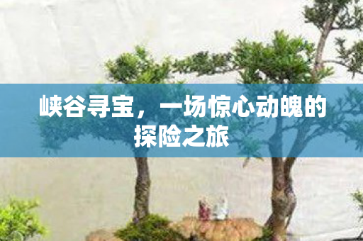 峡谷寻宝，一场惊心动魄的探险之旅